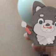 みこと たまご? 横浜シンデレラ（シンデレラグループ）