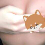 ヒメ日記 2026/02/06 07:45 投稿 みこと 横浜シンデレラ（シンデレラグループ）