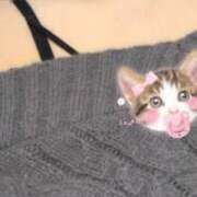 ヒメ日記 2026/02/06 18:11 投稿 みこと 横浜シンデレラ（シンデレラグループ）