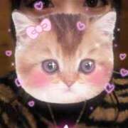 ヒメ日記 2026/02/15 09:30 投稿 みこと 横浜シンデレラ（シンデレラグループ）