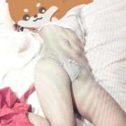 ヒメ日記 2026/02/26 19:41 投稿 みこと 横浜シンデレラ（シンデレラグループ）