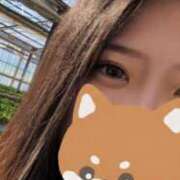 みこと いちご? 横浜シンデレラ（シンデレラグループ）