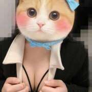 みこと いるよ～ん?? 横浜シンデレラ（シンデレラグループ）