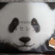 みこと ? 横浜シンデレラ（シンデレラグループ）