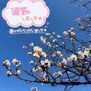 ヒメ日記 2026/02/25 22:15 投稿 蘭 川崎人妻城