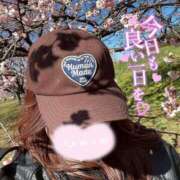 ヒメ日記 2026/03/15 10:07 投稿 蘭 川崎人妻城