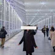 ヒメ日記 2025/12/24 18:02 投稿 七星 りお ライオンズクラブ