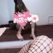 ヒメ日記 2025/10/31 11:02 投稿 広瀬 美桜 プルプルオフィスディーバ