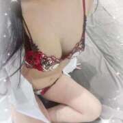 ヒメ日記 2025/11/29 22:24 投稿 ひいろ チューリップ福井本館