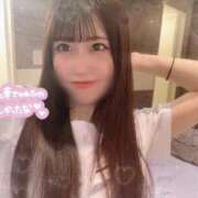 ヒメ日記 2025/11/30 15:23 投稿 ひいろ チューリップ福井本館