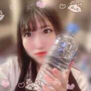 ヒメ日記 2025/12/02 08:34 投稿 ひいろ チューリップ福井本館