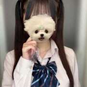 ヒメ日記 2025/10/17 18:06 投稿 矢上えな JKリフレ東京 秋葉原本店