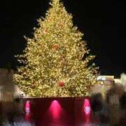 ヒメ日記 2025/11/13 01:00 投稿 真白やよい やみつきエステ錦糸町店