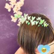 ヒメ日記 2026/03/01 19:11 投稿 かほ 館山secret