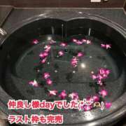 ヒメ日記 2025/10/24 06:01 投稿 美柑【みかん】 丸妻 西船橋店