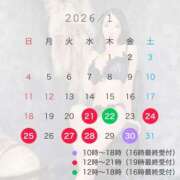 美琴ゆかり 今月の残りのスケジュール表🗓️✨ 白夜