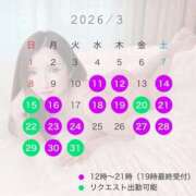 ヒメ日記 2026/03/08 13:45 投稿 美琴ゆかり 白夜