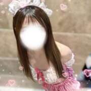 ヒメ日記 2025/09/02 05:23 投稿 れい【ドMのS級美少女】 STELLA TOKYO－ステラトウキョウ－