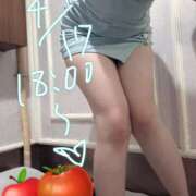 ヒメ日記 2026/04/17 16:15 投稿 ゆうか トマトなび