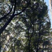 ヒメ日記 2025/10/30 13:46 投稿 アイラ ラブコレクション