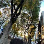 ヒメ日記 2025/11/15 16:31 投稿 アイラ ラブコレクション