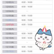 ヒメ日記 2025/11/26 12:31 投稿 アイラ ラブコレクション