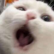 ヒメ日記 2025/12/07 15:31 投稿 アイラ ラブコレクション