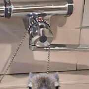 ヒメ日記 2025/12/29 07:16 投稿 アイラ ラブコレクション