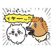 ヒメ日記 2026/01/01 20:01 投稿 アイラ ラブコレクション