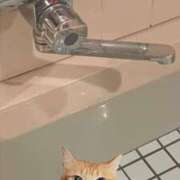 ヒメ日記 2026/01/09 11:46 投稿 アイラ ラブコレクション