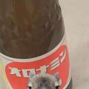 ヒメ日記 2026/03/24 06:16 投稿 アイラ ラブコレクション