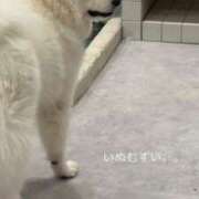 ヒメ日記 2026/05/12 06:01 投稿 アイラ ラブコレクション