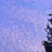 ヒメ日記 2026/02/02 17:47 投稿 なごみ 熟女の風俗最終章 新宿店