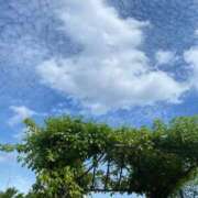 ヒメ日記 2026/03/11 14:22 投稿 なごみ 熟女の風俗最終章 新宿店