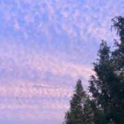 ヒメ日記 2026/03/14 21:06 投稿 なごみ 熟女の風俗最終章 池袋店