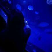 ヒメ日記 2025/08/29 19:58 投稿 きらら One More 奥様　池袋店