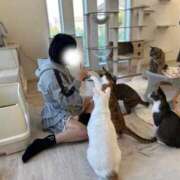 ヒメ日記 2025/09/19 20:28 投稿 きらら One More 奥様　池袋店