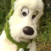 ヒメ日記 2025/11/19 15:28 投稿 きらら One More 奥様　池袋店