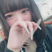 ヒメ日記 2026/10/12 11:51 投稿 きらら One More 奥様 池袋店