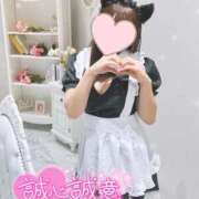 ヒメ日記 2025/11/09 10:06 投稿 らう The White