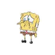 ヒメ日記 2025/11/19 16:16 投稿 らう The White