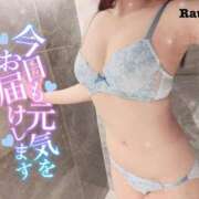 ヒメ日記 2025/12/10 09:39 投稿 らう The White