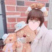 ヒメ日記 2025/12/19 17:00 投稿 らう The White