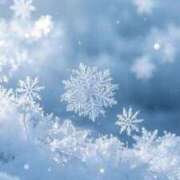 ヒメ日記 2026/01/20 13:56 投稿 らう The White