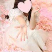 ヒメ日記 2026/04/14 12:35 投稿 らう The White