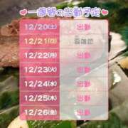 ヒメ日記 2025/12/20 23:06 投稿 しおり ぽっちゃり巨乳素人専門横浜関内伊勢佐木町ちゃんこ