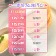 しおり 動画❤ 新横浜ちゃんこ