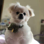 ヒメ日記 2025/11/11 23:28 投稿 ぴの クラブハート