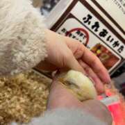 ぴの 💗( ˘꒳˘ 愛 ) クラブハート