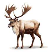 ヒメ日記 2025/12/17 15:10 投稿 ラン◆SP可◆ Ageha(アゲハ)